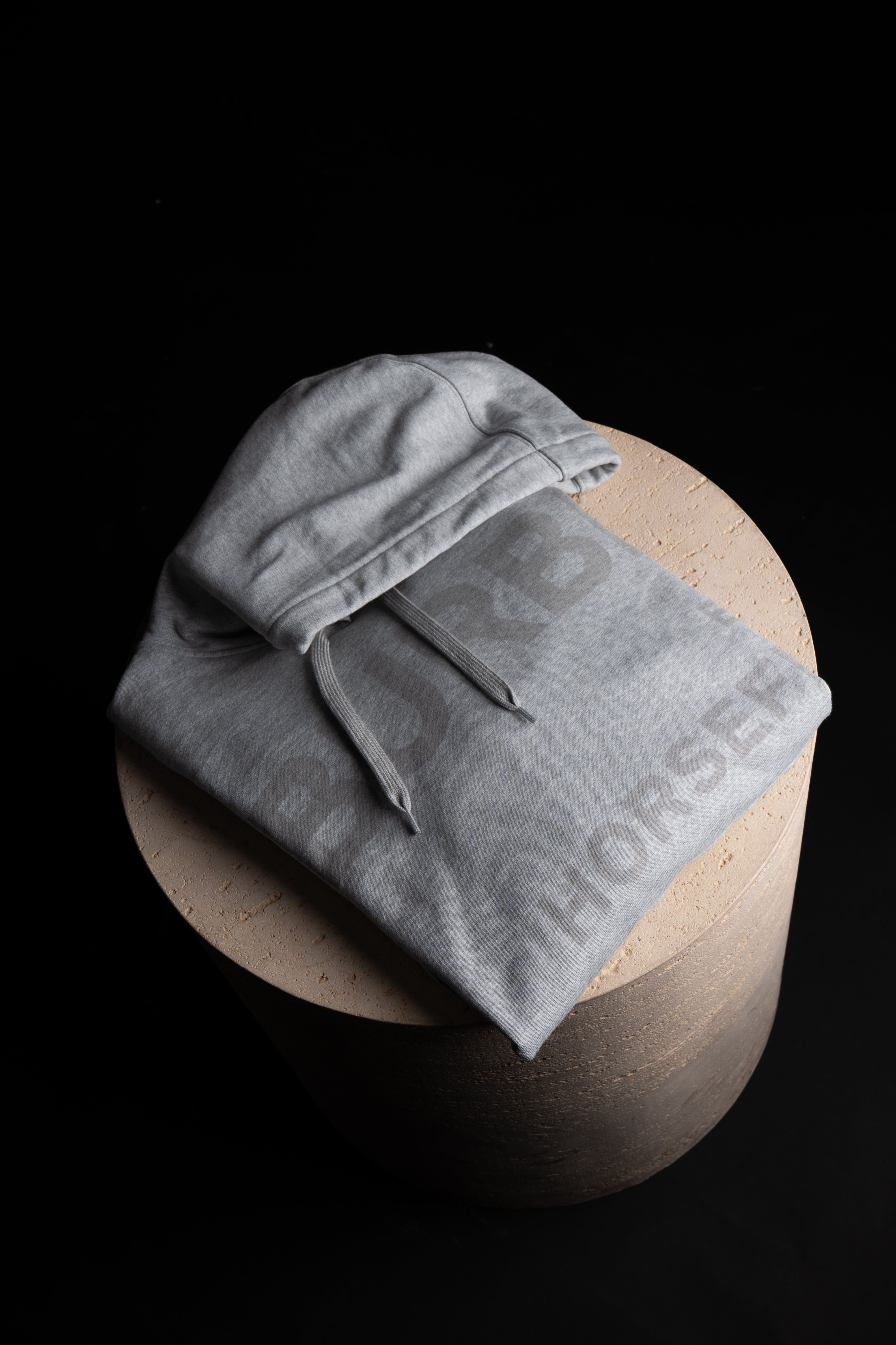 Hoodie Burberry Gris