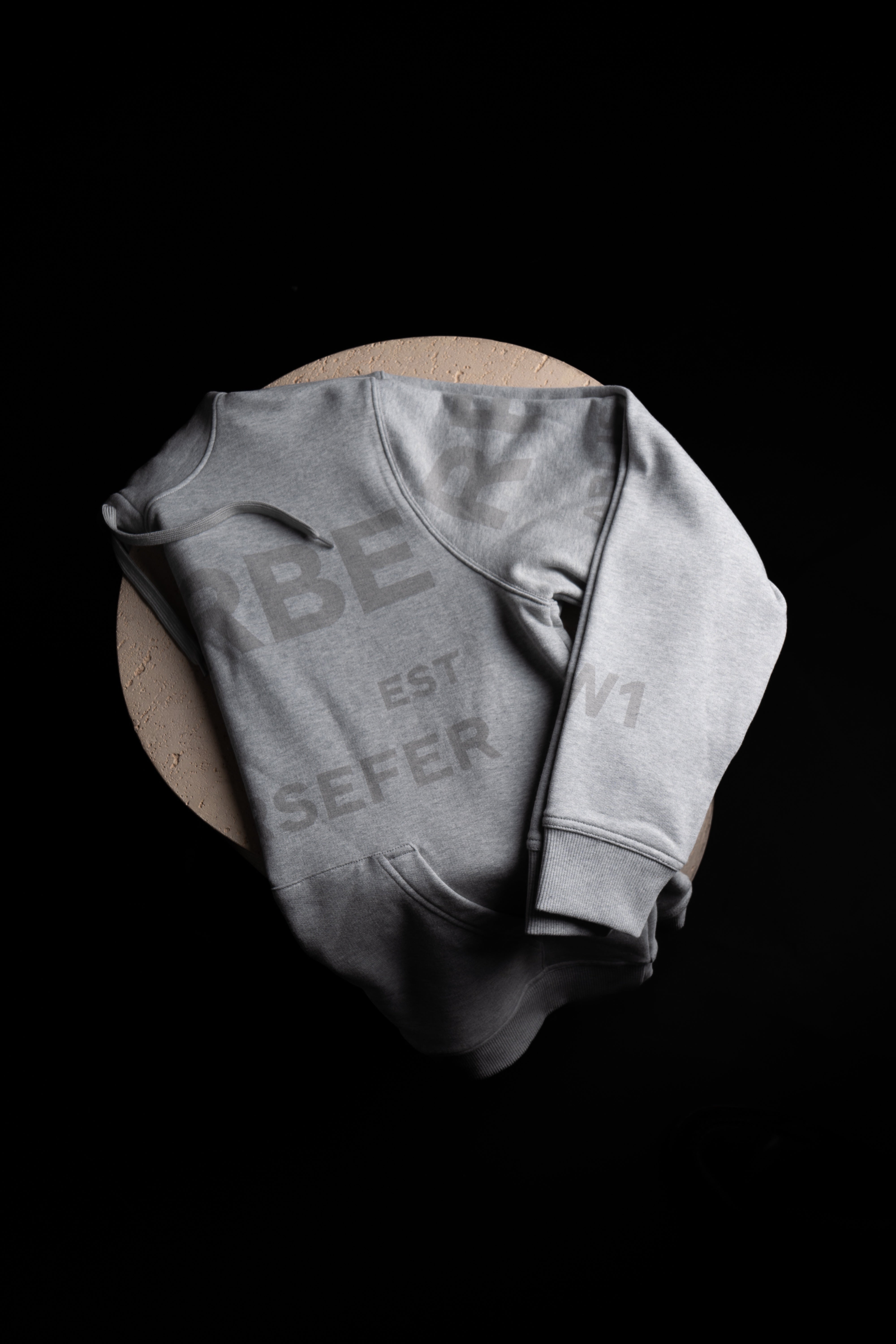 Hoodie Burberry Gris