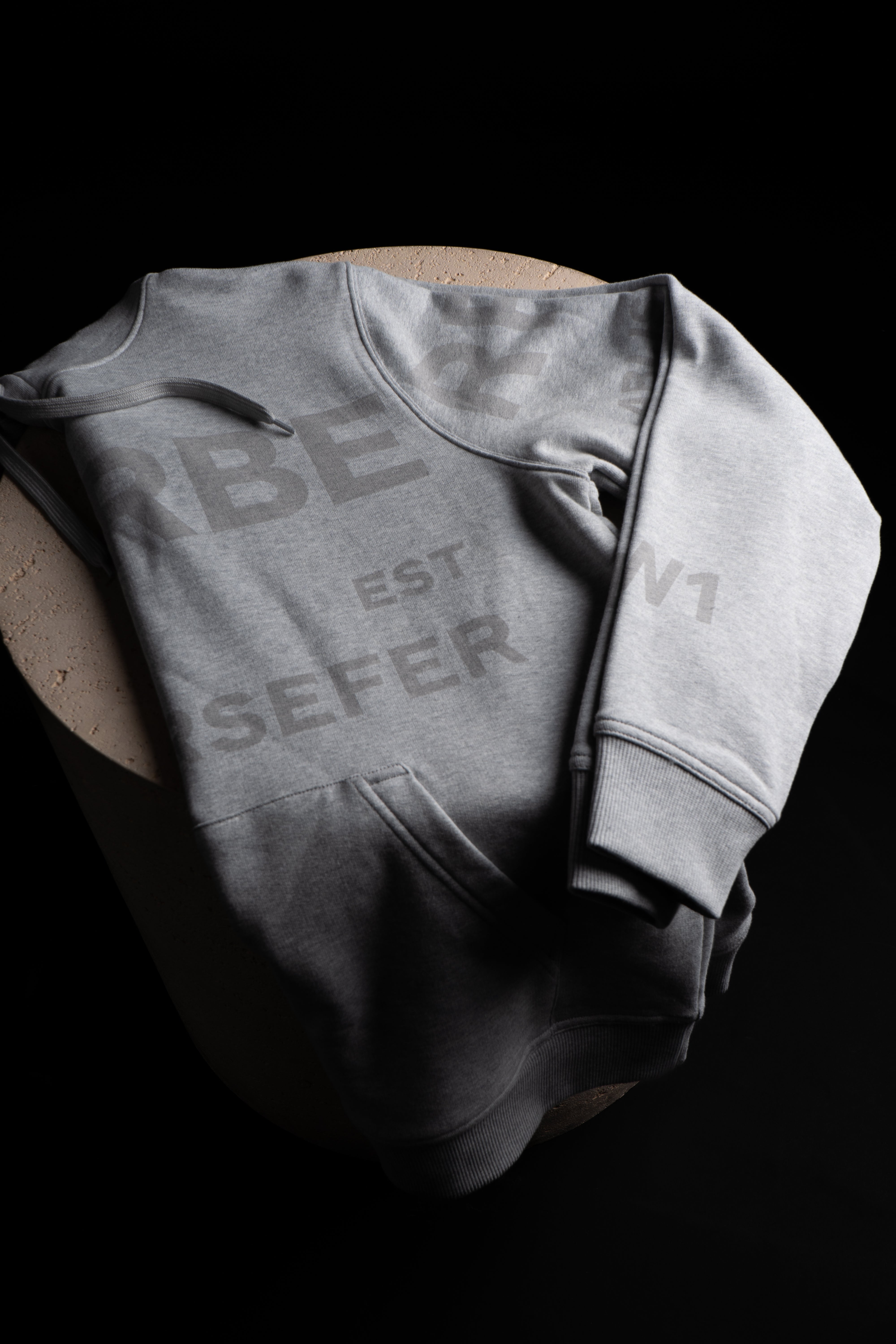 Hoodie Burberry Gris